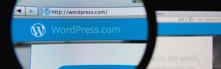 Vulnerabilities on WordPress websites